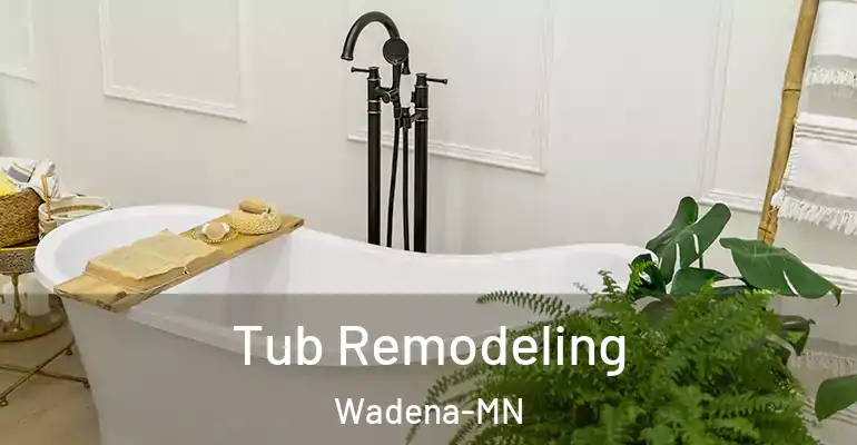inner Bathroom imggen Tub Remodeling Wadena-MN
