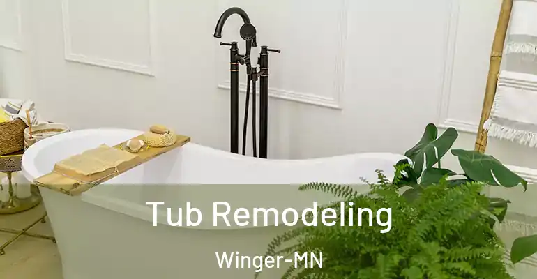 inner Bathroom imggen Tub Remodeling Winger-MN