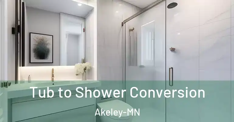 inner Bathroom imggen Tub to Shower Conversion Akeley-MN
