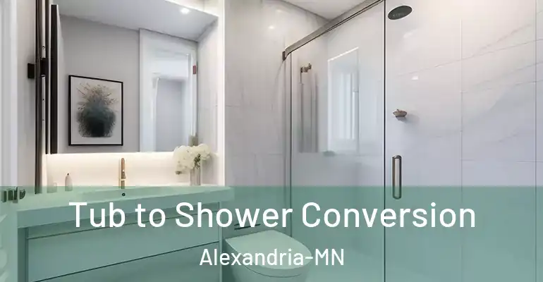 inner Bathroom imggen Tub to Shower Conversion Alexandria-MN