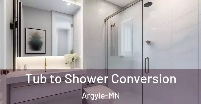 inner Bathroom imggen Tub to Shower Conversion Argyle-MN