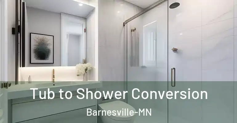 inner Bathroom imggen Tub to Shower Conversion Barnesville-MN