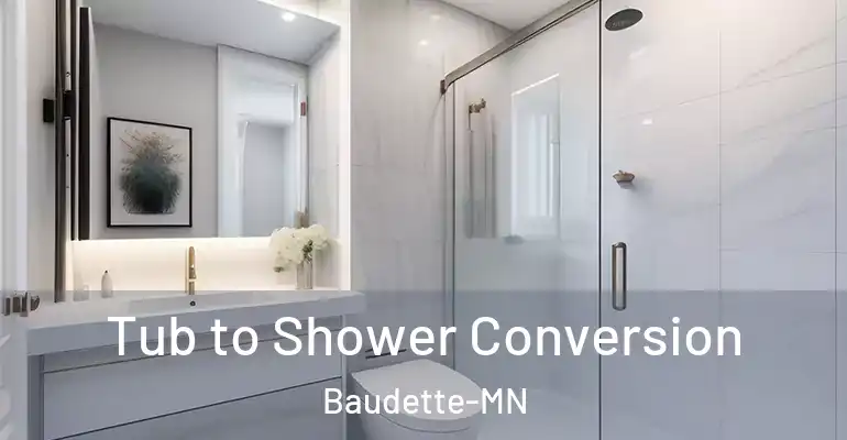 inner Bathroom imggen Tub to Shower Conversion Baudette-MN