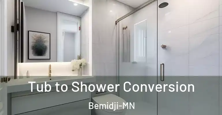 inner Bathroom imggen Tub to Shower Conversion Bemidji-MN