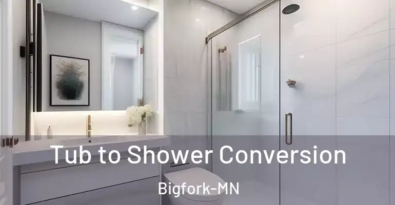 inner Bathroom imggen Tub to Shower Conversion Bigfork-MN