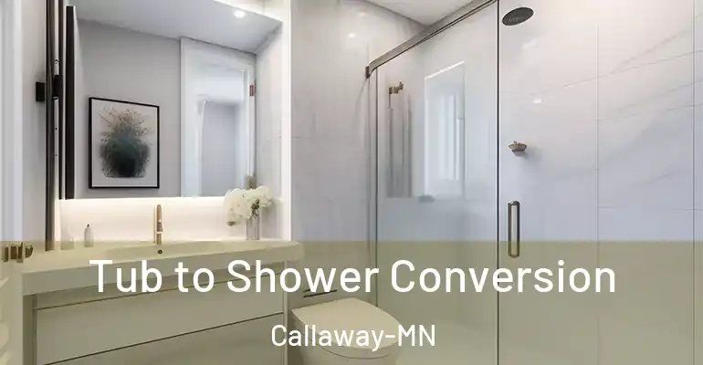 inner Bathroom imggen Tub to Shower Conversion Callaway-MN