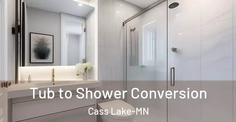inner Bathroom imggen Tub to Shower Conversion Cass Lake-MN