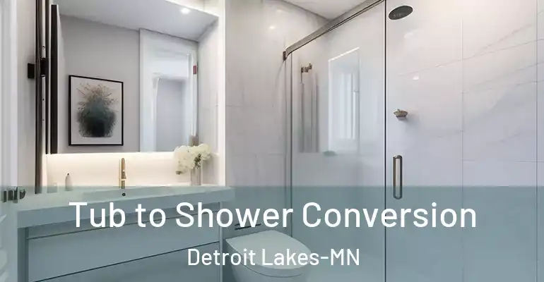 inner Bathroom imggen Tub to Shower Conversion Detroit Lakes-MN