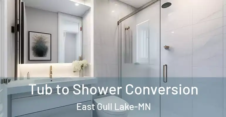 inner Bathroom imggen Tub to Shower Conversion East Gull Lake-MN