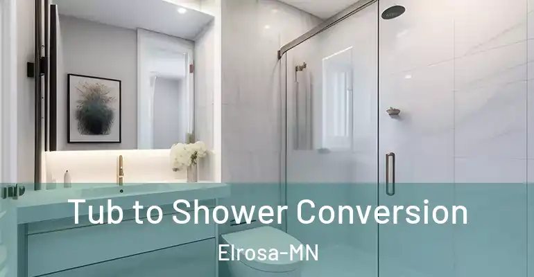 inner Bathroom imggen Tub to Shower Conversion Elrosa-MN