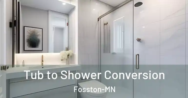 inner Bathroom imggen Tub to Shower Conversion Fosston-MN
