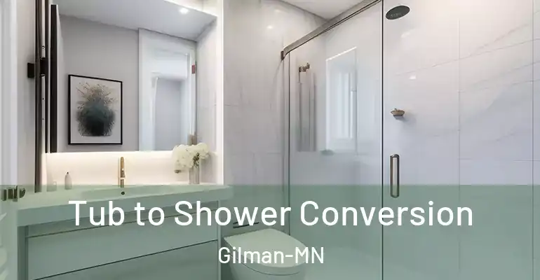 inner Bathroom imggen Tub to Shower Conversion Gilman-MN