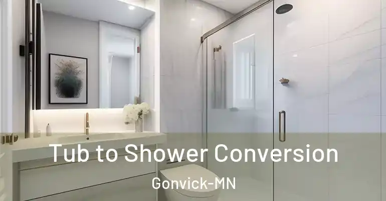 inner Bathroom imggen Tub to Shower Conversion Gonvick-MN