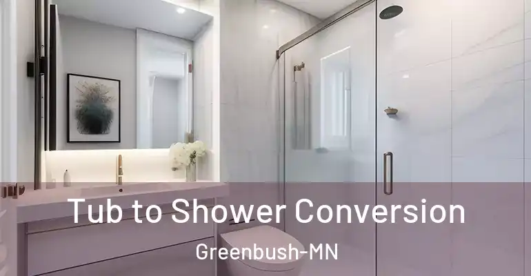 inner Bathroom imggen Tub to Shower Conversion Greenbush-MN