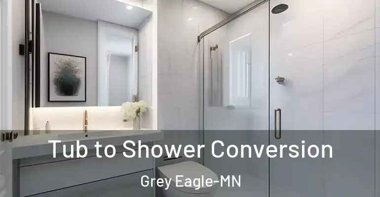inner Bathroom imggen Tub to Shower Conversion Grey Eagle-MN