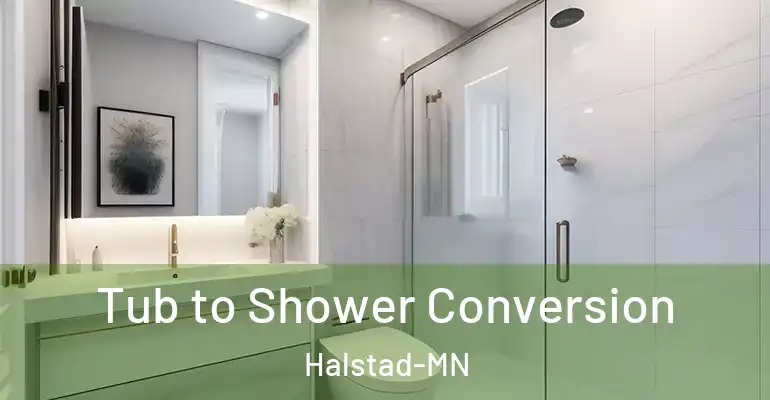 inner Bathroom imggen Tub to Shower Conversion Halstad-MN