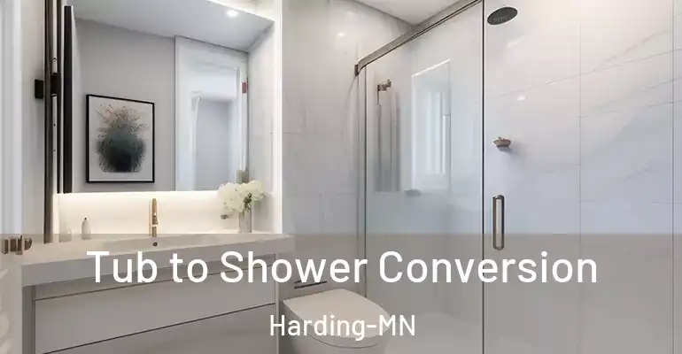 inner Bathroom imggen Tub to Shower Conversion Harding-MN