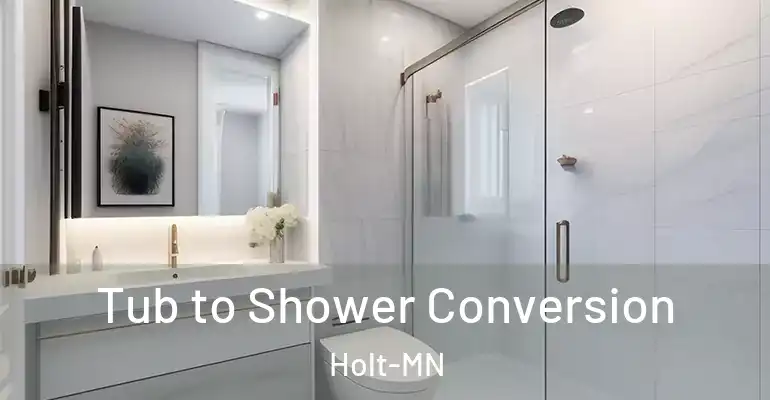 inner Bathroom imggen Tub to Shower Conversion Holt-MN