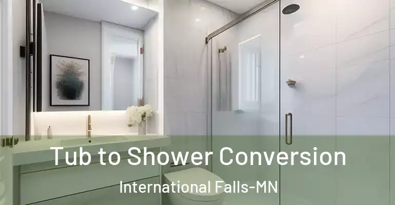 inner Bathroom imggen Tub to Shower Conversion International Falls-MN