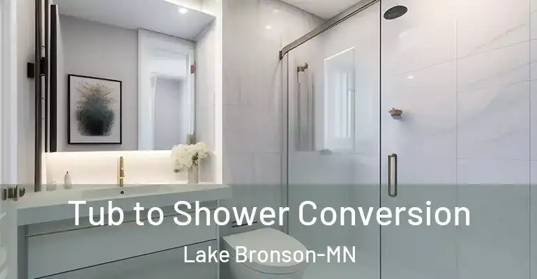 inner Bathroom imggen Tub to Shower Conversion Lake Bronson-MN