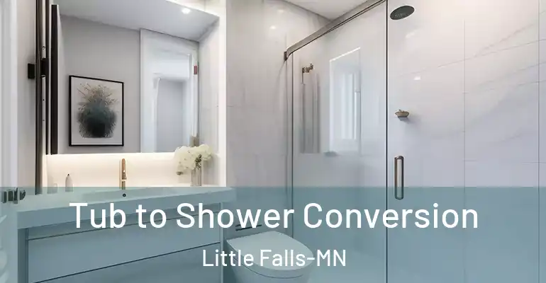 inner Bathroom imggen Tub to Shower Conversion Little Falls-MN