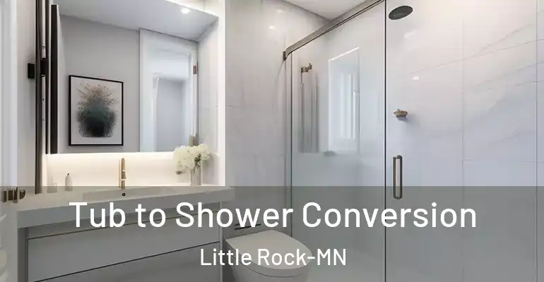 inner Bathroom imggen Tub to Shower Conversion Little Rock-MN