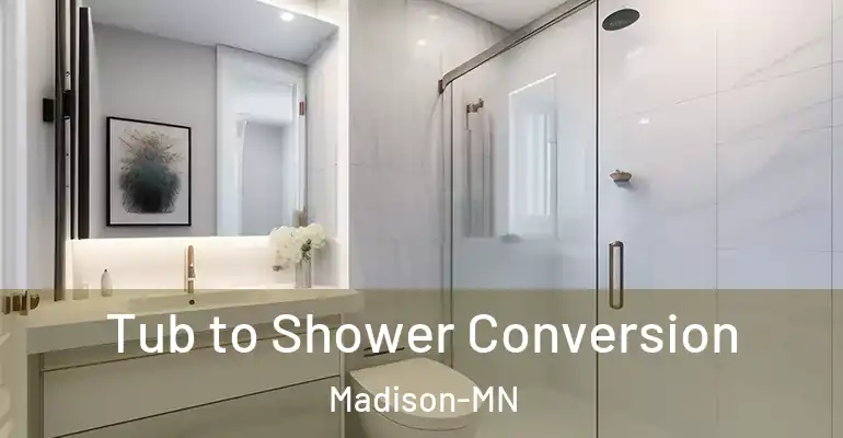 inner Bathroom imggen Tub to Shower Conversion Madison-MN