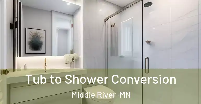 inner Bathroom imggen Tub to Shower Conversion Middle River-MN