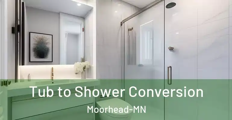 inner Bathroom imggen Tub to Shower Conversion Moorhead-MN