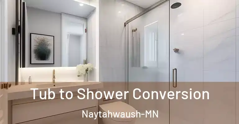 inner Bathroom imggen Tub to Shower Conversion Naytahwaush-MN