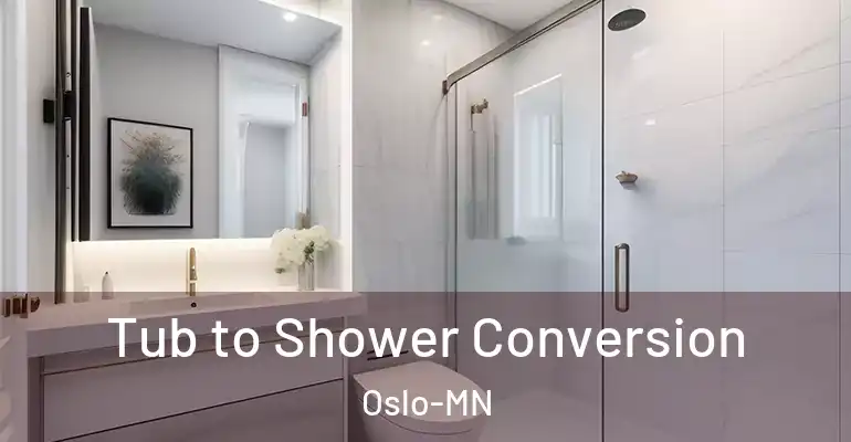 inner Bathroom imggen Tub to Shower Conversion Oslo-MN