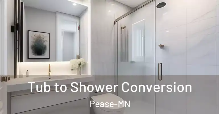 inner Bathroom imggen Tub to Shower Conversion Pease-MN