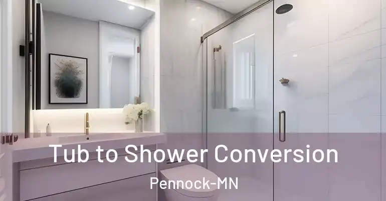 inner Bathroom imggen Tub to Shower Conversion Pennock-MN