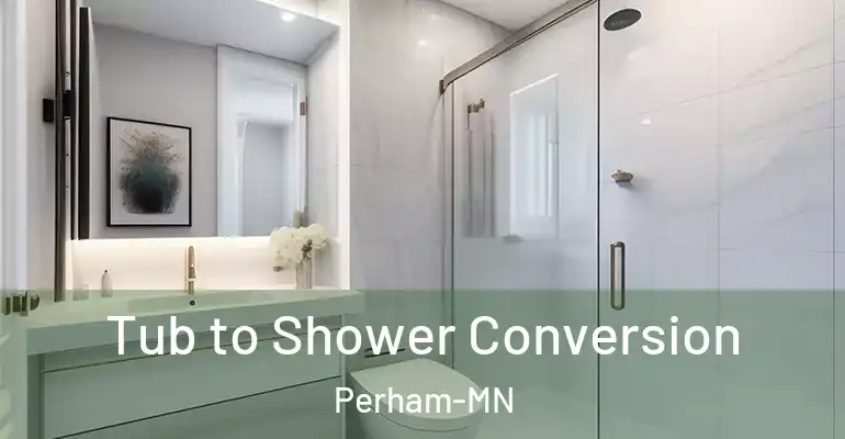 inner Bathroom imggen Tub to Shower Conversion Perham-MN