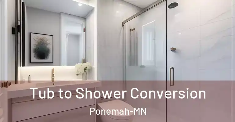 inner Bathroom imggen Tub to Shower Conversion Ponemah-MN