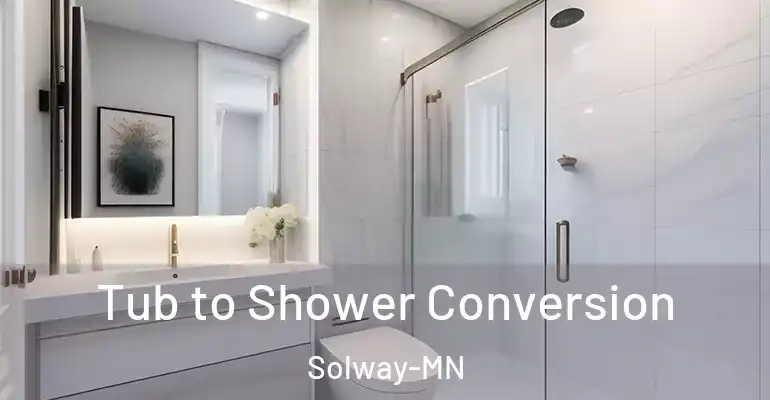 inner Bathroom imggen Tub to Shower Conversion Solway-MN