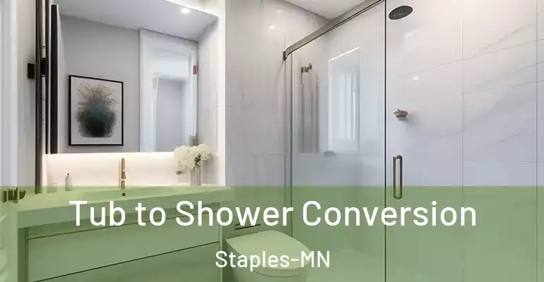 inner Bathroom imggen Tub to Shower Conversion Staples-MN