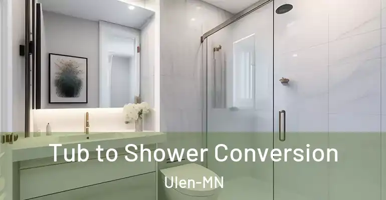 inner Bathroom imggen Tub to Shower Conversion Ulen-MN