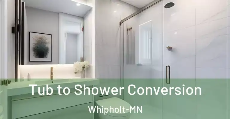 inner Bathroom imggen Tub to Shower Conversion Whipholt-MN