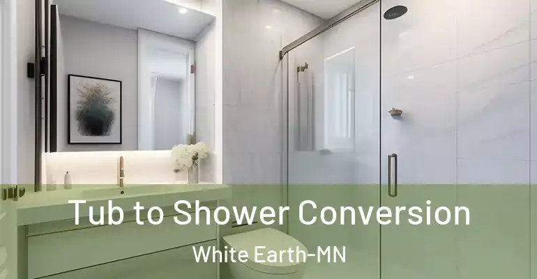 inner Bathroom imggen Tub to Shower Conversion White Earth-MN