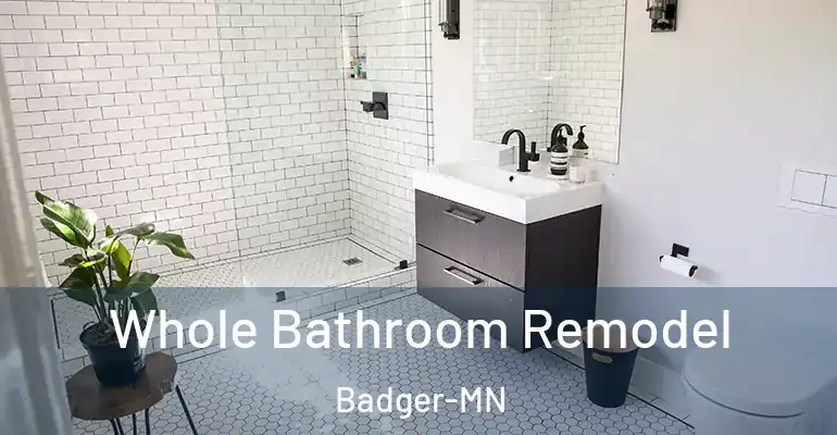 inner Bathroom imggen Whole Bathroom Remodel Badger-MN