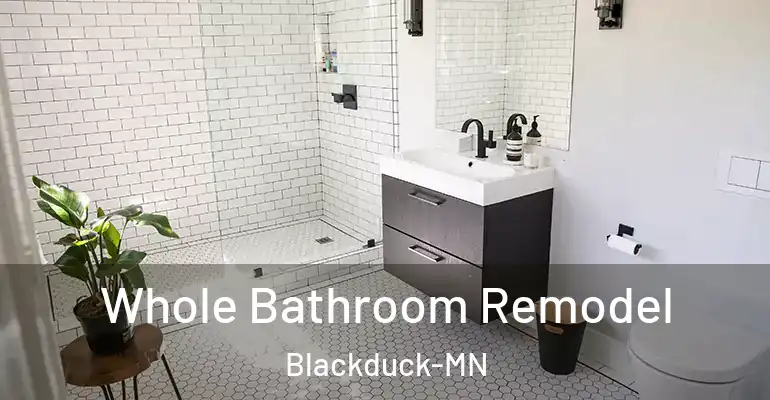 inner Bathroom imggen Whole Bathroom Remodel Blackduck-MN