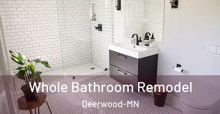 inner Bathroom imggen Whole Bathroom Remodel Deerwood-MN