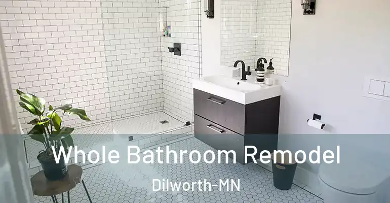 inner Bathroom imggen Whole Bathroom Remodel Dilworth-MN