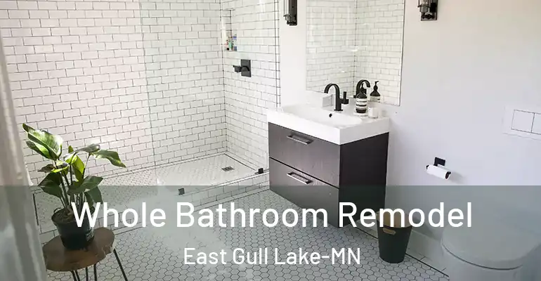 inner Bathroom imggen Whole Bathroom Remodel East Gull Lake-MN