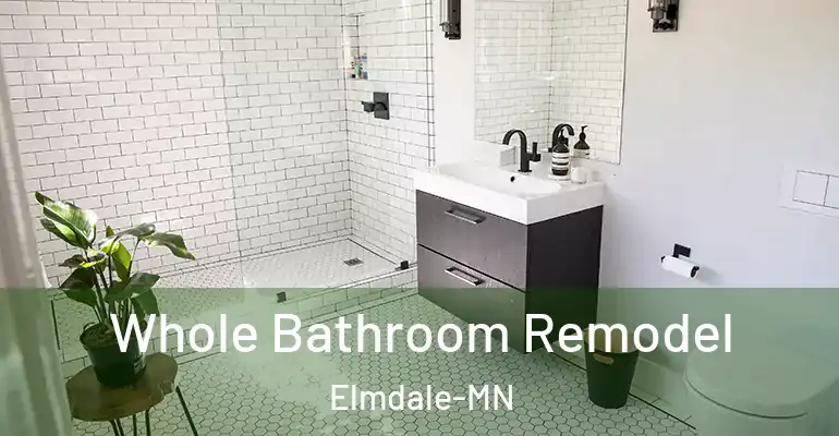 inner Bathroom imggen Whole Bathroom Remodel Elmdale-MN