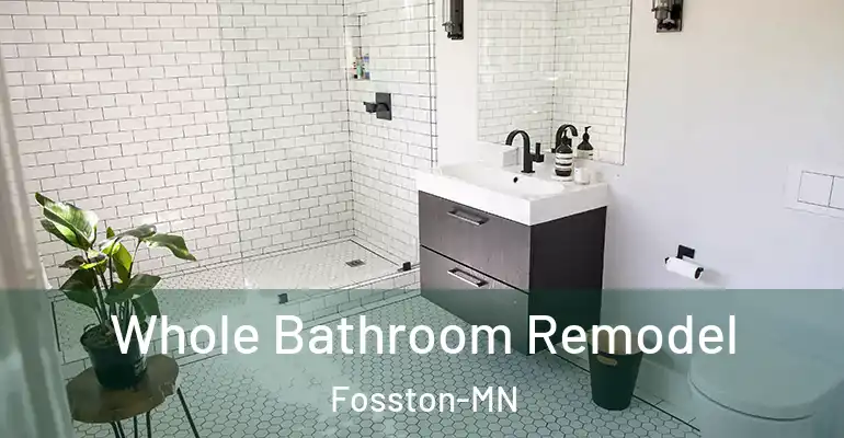 inner Bathroom imggen Whole Bathroom Remodel Fosston-MN