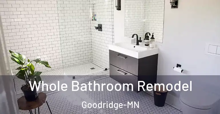 inner Bathroom imggen Whole Bathroom Remodel Goodridge-MN