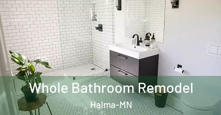 inner Bathroom imggen Whole Bathroom Remodel Halma-MN