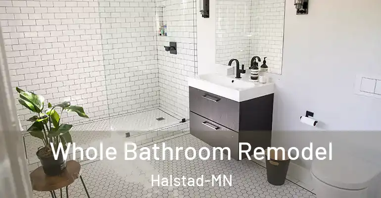 inner Bathroom imggen Whole Bathroom Remodel Halstad-MN